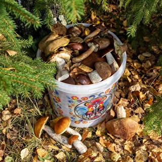 Fødevaregodkendt spand GWIOZDA - med låg, 10 L – photo 10