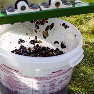 Fermenteringsbeholder 30 L med låg og hane – photo 16