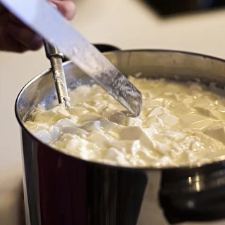 Osteløbe til oste 5x1 g – photo 7