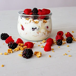 Bakteriekulturer til yoghurt – photo 4