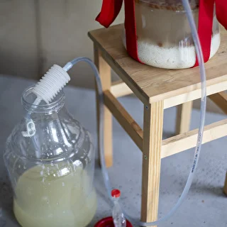 Let, brudsikker vinballon med seler, 10 L – photo 12