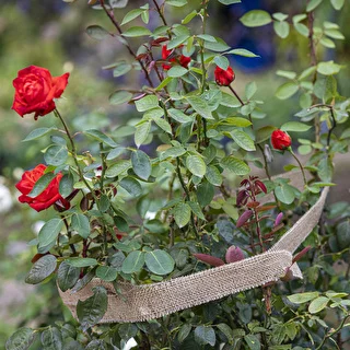 Jute bånd 5 cm / 8 m – photo 7