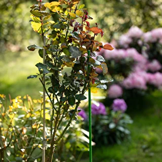 Belagt stålstang PE 0,6 m x 8 mm – photo 4