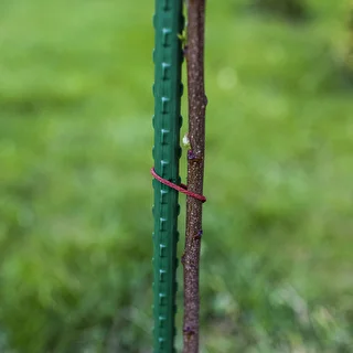 Bioogród havepinde – belagt stål, 1,8 m, fi 11 mm, 10 stk. – photo 5
