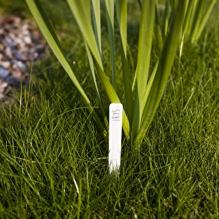 Skilte til beskrivelse af planter + blyant mix 10+20 stk. – photo 7
