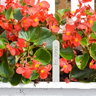 Skilte til beskrivelse af planter + blyant mix 10+20 stk. – photo 8