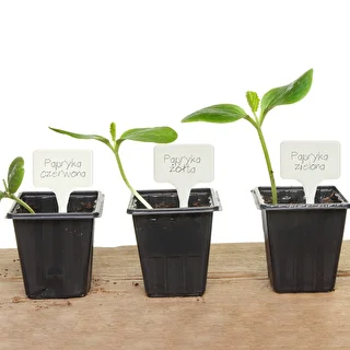 Skilte til beskrivelse af planter + blyant mix 10+20 stk. – photo 12