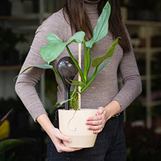 Vandingskugler til planter, sorte gennemsigtige, 400 ml, 4 stk. – photo 11