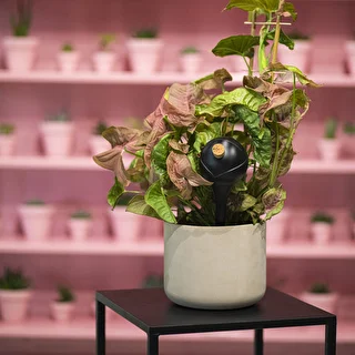 Vandingskugler til planter, sorte matte, med prop, 400ml, 4 stk. – photo 11