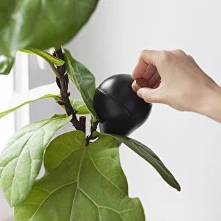 Vandingskugler til planter, sorte matte, med prop, 400ml, 4 stk. – photo 13