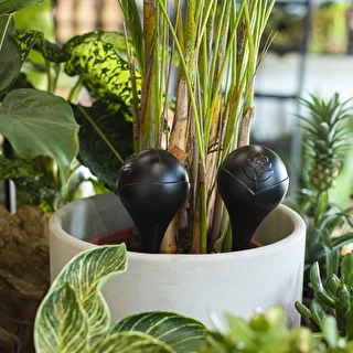 Vandingskugler til planter, sorte matte, 400 ml, 4 stk. – photo 8