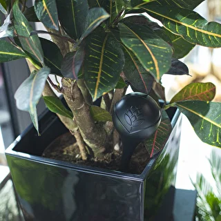 Vandingskugler til planter, sorte matte, 400 ml, 2 stk. – photo 10