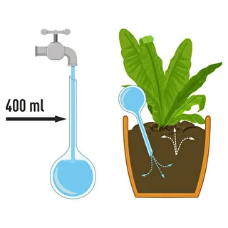 Vandingskugler til planter, ravfarvede gennemsigtige, 400 ml, 2 stk. – photo 4