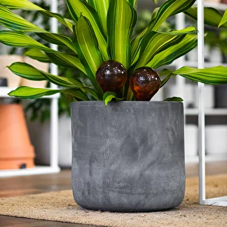 Vandingskugler til planter, ravfarvede gennemsigtige, 400 ml, 4 stk. – photo 12