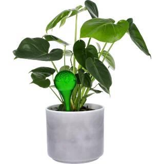 Vandingskugler til planter, grønne gennemsigtige, 400 ml, 2 stk. – photo 5