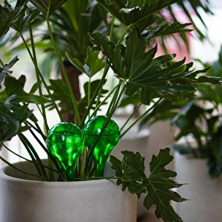 Vandingskugler til planter, grønne gennemsigtige, 400 ml, 4 stk. – photo 12