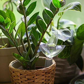 Plantevander – gennemsigtigt blad, 120 ml – photo 7