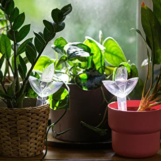 Plantevander – gennemsigtigt blad, 120 ml – photo 9