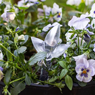 Plantevander – gennemsigtigt blad, 120 ml – photo 8