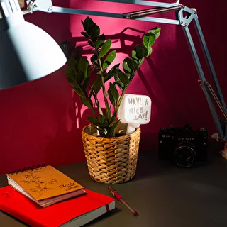 Plantevander – hvid tavle, 200 ml – photo 11