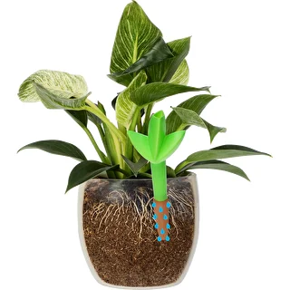 Plantevander – grønt blad med keramisk fod, 120 ml – photo 6