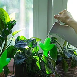 Plantevander – grønt blad med keramisk fod, 120 ml – photo 8