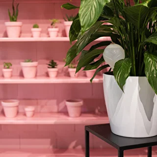 Vandingskugler til planter, hvide halvgennemsigtige med prop, 400ml, 4 stk. – photo 12