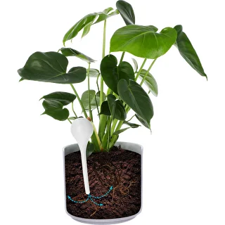 Vandingskugler til planter, hvide halvgennemsigtige med prop, 400ml, 4 stk. – photo 6