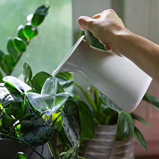 Plantevander – gennemsigtigt blad med keramisk fod, 120 ml – photo 8