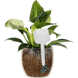 Plantevander – hvid tavle, 200 ml – photo 6