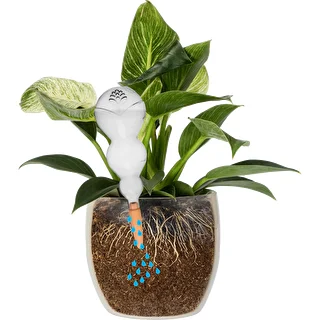 Tredobbelt vandingskugle (trekammer), gennemsigtig klar, med keramisk fod, 600 ml – photo 3