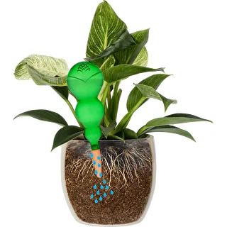 Tredobbelt vandingskugle (trekammer), gennemsigtig grøn med keramisk fod, 600ml – photo 3
