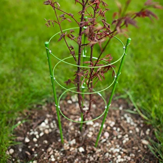 Ringstøtte til planter 3 ringe 1,5m – photo 3