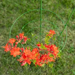 Ringstøtte til planter 4 ringe 1m – photo 4