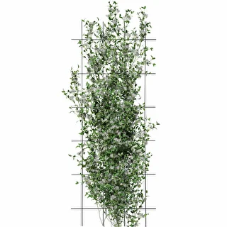 Planteunderstøttelse - gitter (150cm x 60cm) 3 stykker – photo 3