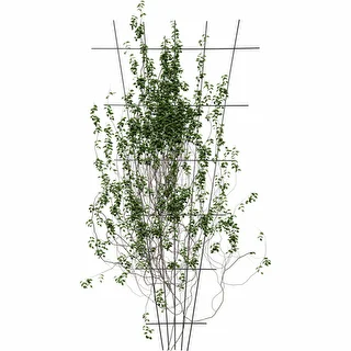 Planteunderstøttelse - tilspidset havegitter 150 x 75cm – photo 3