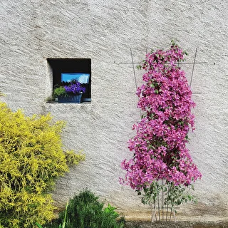 Planteunderstøttelse - tilspidset havegitter 150 x 75cm – photo 4