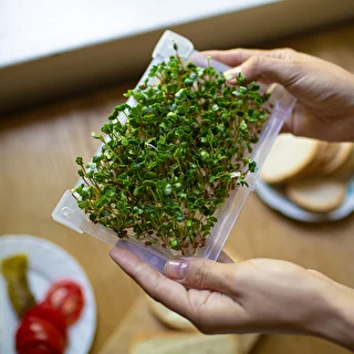 Spirebakke Grøn Top med radisefrø – photo 14