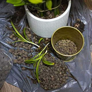 Leca til potteplanter, havebrug og skov i glas, 4-10 mm, 2L – photo 8