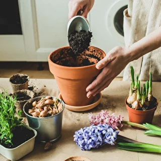 Aktivt kokoskul til planter 0,9 L – photo 7