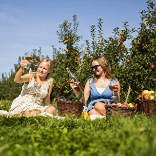 Cider sæt 20 L – photo 16
