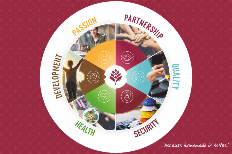 Browin, vores virksomhed