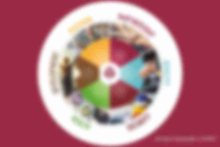 Browin - mission, vision, values