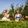 Cider sæt 20 L - 16 