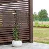 Dekorativ pergola - Pyramide, 150 cm - 5 