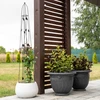 Dekorativ pergola - Pyramide, 150 cm - 6 