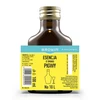 Essens med kvædesmag til 10 L - 100ml - 5 