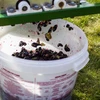 Fermenteringsbeholder 30 L med låg og hane - 17 
