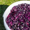 Fermenteringsbeholder 30 L med låg og hane - 16 