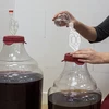 Gærlås af plast MINI-v2 - 7 